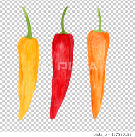 パレルモの手描き水彩イラスト 137580182