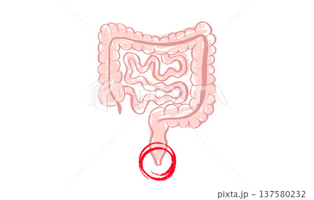 Human Organs Sketch Human Organs Sketch 137580232