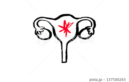 Female reproductive system 137580263