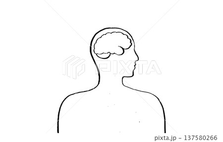 Human brain structure Human brain structure 137580266