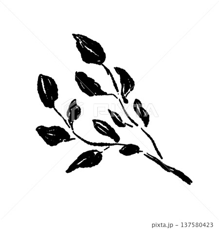 クレソン（ハーブ）のモノクロシルエット 137580423