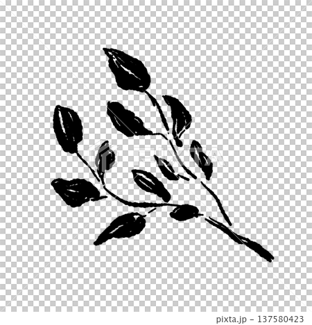 クレソン（ハーブ）のモノクロシルエット 137580423