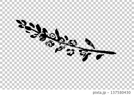 穂紫蘇(ほじそ・紫蘇の花)のモノクロシルエット 穂紫蘇(ほじそ・紫蘇の花)のモノクロシルエット 137580430