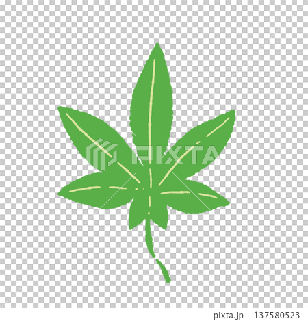 Green maple leaf (sashimi garnish) illustration Green maple leaf (sashimi garnish) illustration 137580523