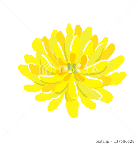 食用菊（刺身のタンポポ/菊）のイラスト 137580529
