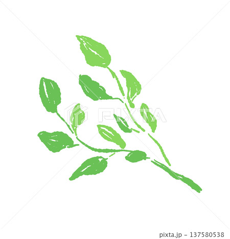ステーキに添えるクレソン(ハーブ)のイラスト ステーキに添えるクレソン(ハーブ)のイラスト 137580538