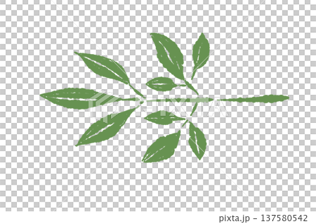 南天(なんてん)の葉のあしらいイラスト 南天(なんてん)の葉のあしらいイラスト 137580542