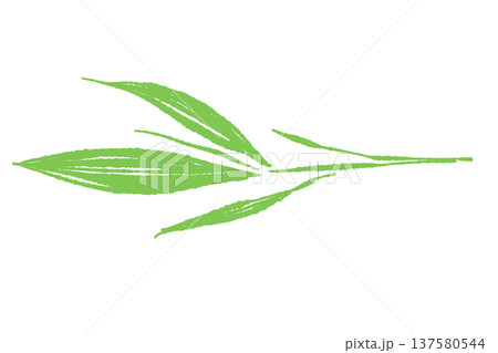 細い笹の葉・青ネギのあしらいイラスト 137580544