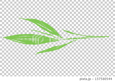 細い笹の葉・青ネギのあしらいイラスト 137580544