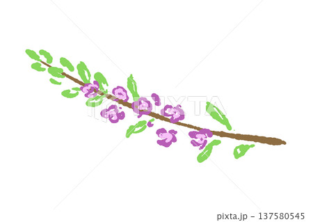 穂紫蘇（ほじそ・紫蘇の花）のイラスト 137580545