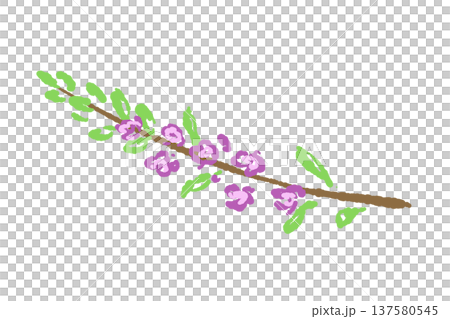 穂紫蘇（ほじそ・紫蘇の花）のイラスト 137580545