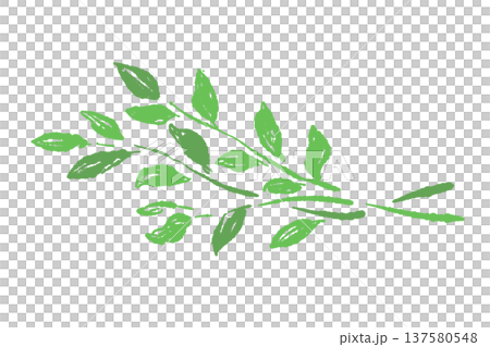 Fresh watercress leaves garnish illustration 137580548