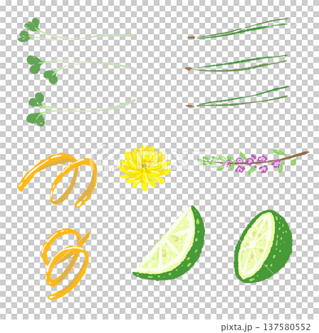 刺身のあしらい小物セット（松葉・菊・ゆず皮・穂紫蘇） 137580552