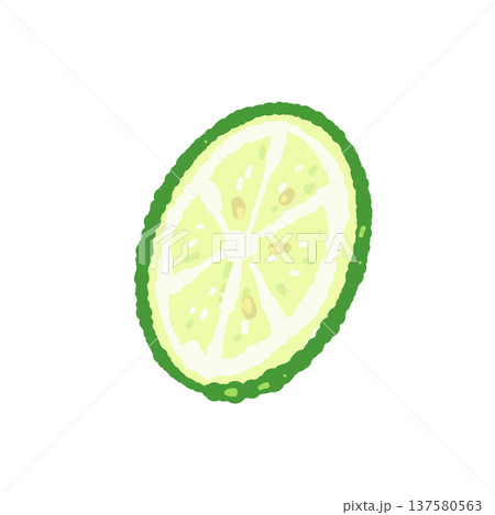 半分にカットしたすだち(真正面・断面) 半分にカットしたすだち(真正面・断面) 137580563