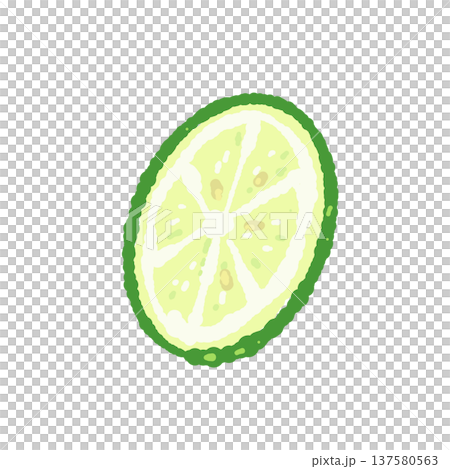 半分にカットしたすだち(真正面・断面) 半分にカットしたすだち(真正面・断面) 137580563