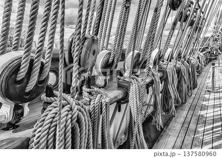 Detail of the cordage of a sailing ship, London, Uk Detail of the cordage of a sailing ship, London, Uk 137580960