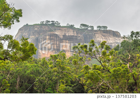 Sigiriya ancient rock fortress in Sri Lanka. Majestic Green Forest Canopy with Towering Flat-Topped Mountain Under Overcast Sky, Serene Tropical Landscape View Sigiriya ancient rock fortress in Sri Lanka. Majestic Green Forest Canopy with Towering Flat-Topped Mountain Under Overcast Sky, Serene Tropical Landscape View 137581203