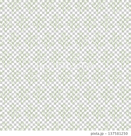 Gypsophila seamless pattern background illustration (with background color) Gypsophila seamless pattern background illustration (with background color) 137581250
