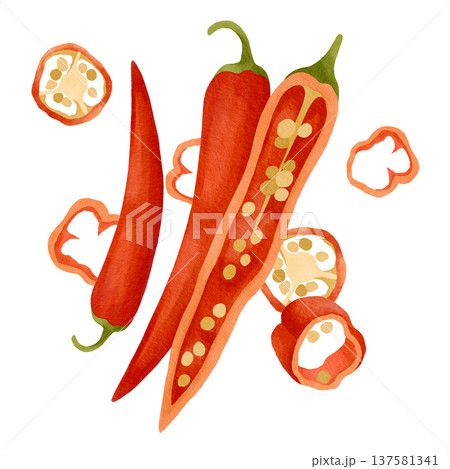 Hand-drawn watercolor hot chili pepper, seeds and sliced pepper ready to use composition for product design or ingredients 137581341
