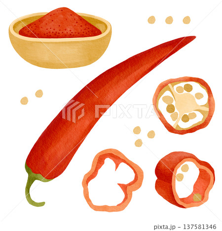 Hand-drawn watercolor fresh chili pepper, chili powder and seeds and sliced pepper detailed illustrations isolated on white  137581346