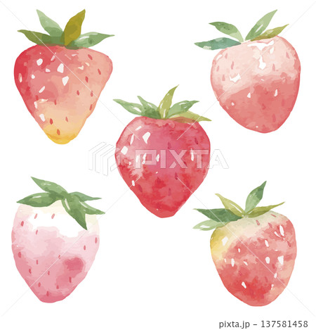 水彩いちごのイラスト 137581458
