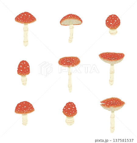 ベニテングダケのバリエーションセットの手描きイラスト素材 137581537