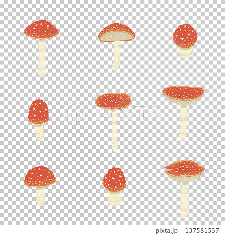 手繪的各種毒蠅傘插圖 手繪的各種毒蠅傘插圖 137581537