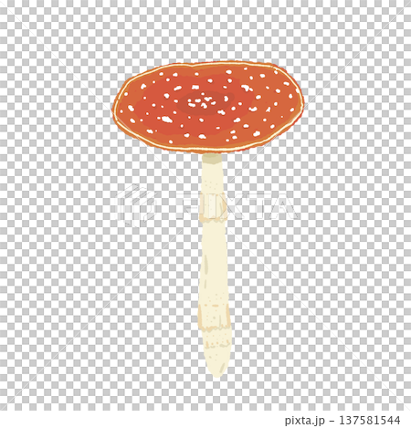 ベニテングダケ（単体・斜め）の手描きイラスト素材 137581544