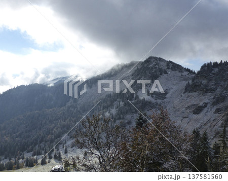 Mountain hiking to Bodenschneid mountain in springtime, Bavaria, Germany 137581560