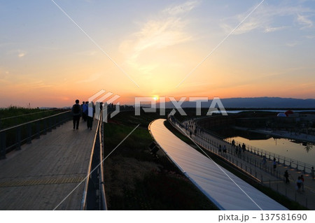 大阪・関西万博、大屋根リングと夕陽(EXPO2025) 大阪・関西万博、大屋根リングと夕陽(EXPO2025) 137581690