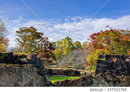 岡城跡の石垣と紅葉 137581768