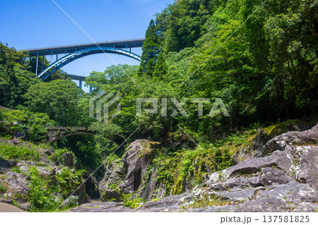 新緑の高千穂峡三橋 新緑の高千穂峡三橋 137581825