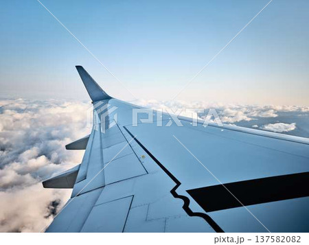 飛行機の翼 137582082