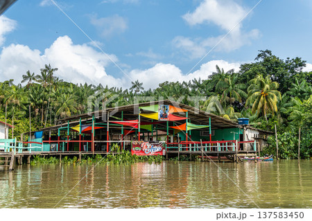 River boat tour on the Guama River 137583450