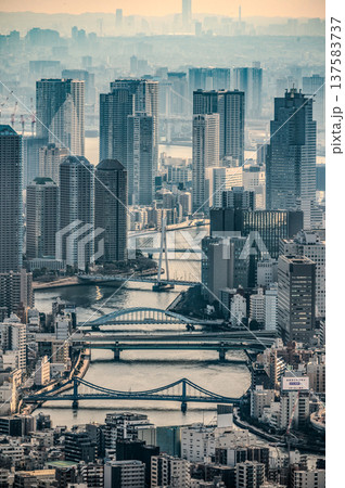 霧に包まれた都心の風景 137583737