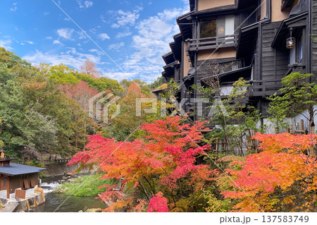 黒川温泉の紅葉 137583749