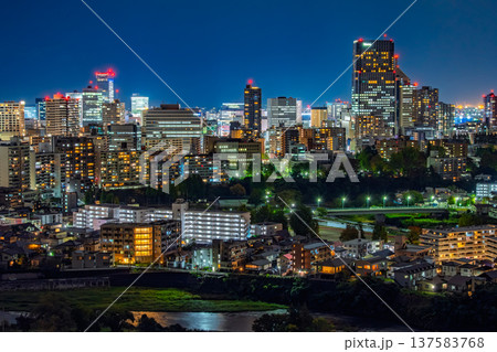 宮城県仙台市 仙台城跡(青葉城址)から見下ろす広瀬川と杜の都・仙台の夜景 宮城県仙台市 仙台城跡(青葉城址)から見下ろす広瀬川と杜の都・仙台の夜景 137583768