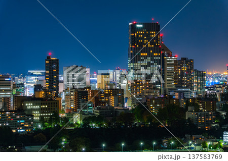 宮城県仙台市 仙台城跡（青葉城址）から見下ろす広瀬川と杜の都・仙台の夜景 137583769