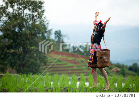 Asian hill tribe woman wearing traditional ethnic costume standing in green rice field with arms raised. Cultural lifestyle in rural mountain village with terraced fields and natural landscape Asian hill tribe woman wearing traditional ethnic costume standing in green rice field with arms raised. Cultural lifestyle in rural mountain village with terraced fields and natural landscape 137583791