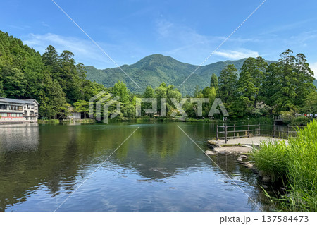 新緑の湯布院金鱗湖 137584473