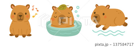 Cute capybara animal illustration set showing singing relaxing and swimming, adorable wildlife character for nursery decor, nature blogs and children storytelling graphics Cute capybara animal illustration set showing singing relaxing and swimming, adorable wildlife character for nursery decor, nature blogs and children storytelling graphics 137584717
