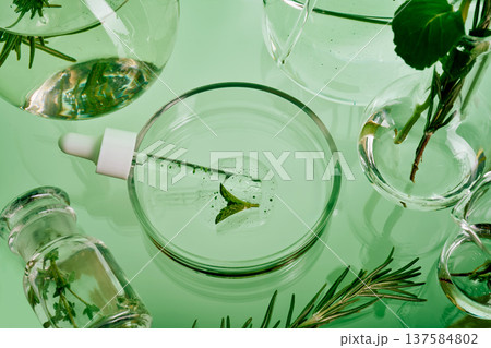 Natural beauty products research in laboratory with botanicals Natural beauty products research in laboratory with botanicals 137584802
