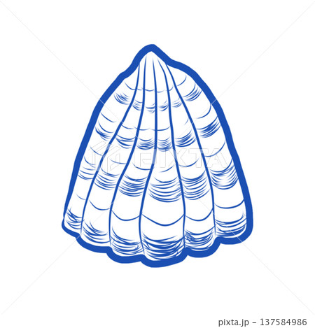 Seashell Flat design. Paper cut design. 137584986