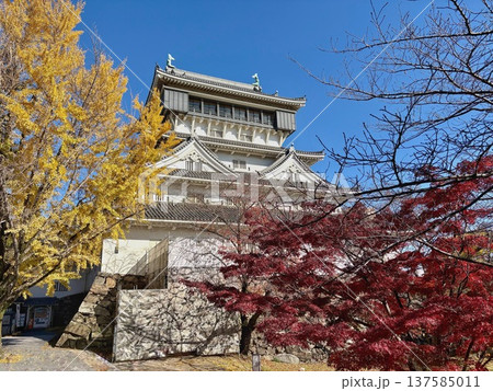紅葉に囲まれた小倉城(福岡県北九州市の歴史的建築) 紅葉に囲まれた小倉城(福岡県北九州市の歴史的建築) 137585011