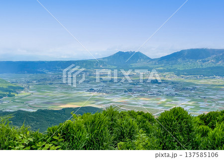 大観峰から見た阿蘇平野と阿蘇山 137585106