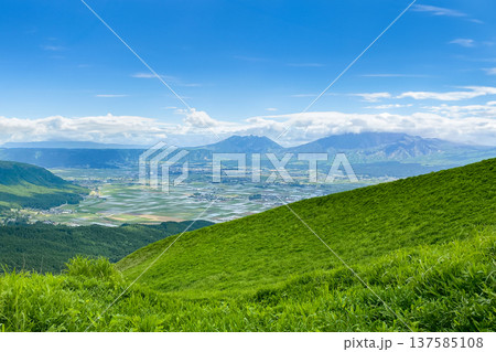 大観峰から見た阿蘇平野と阿蘇山 大観峰から見た阿蘇平野と阿蘇山 137585108