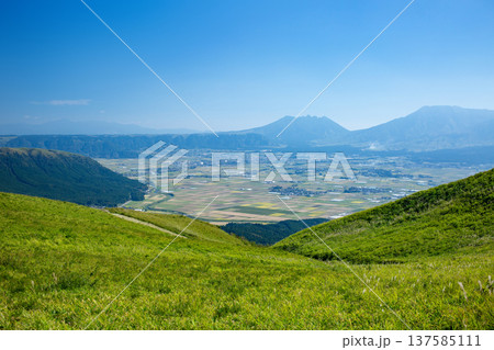 大観峰から見た阿蘇平野と阿蘇山 137585111