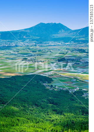 大観峰から見た阿蘇平野と阿蘇山 137585115