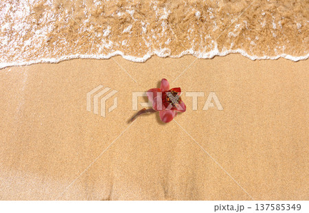 pink heart on the sand pink heart on the sand 137585349
