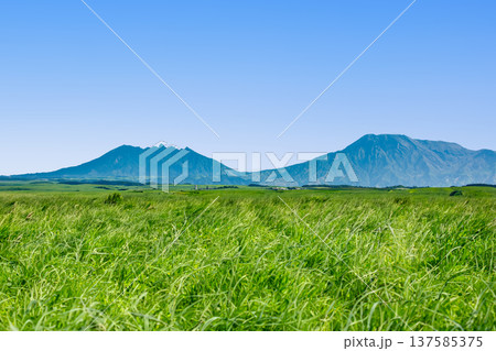 新緑の瀬の本高原と阿蘇山 137585375